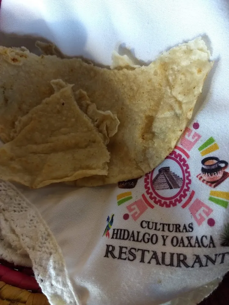 Homemade Corn Tortillas